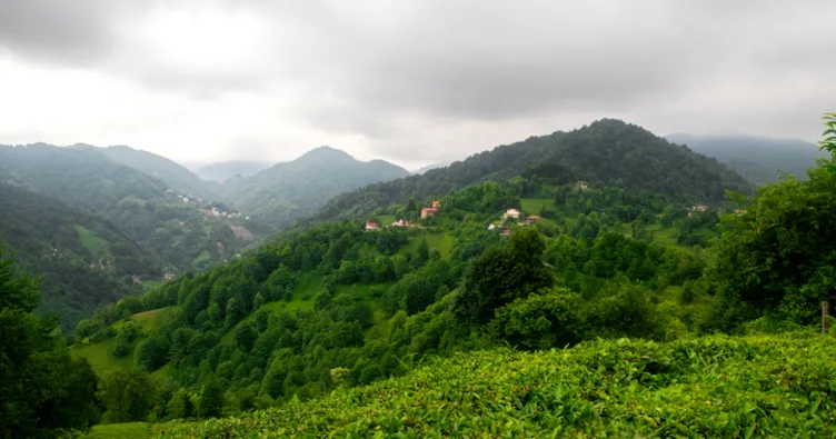 Karadeniz Yaylaları Rotası: Ayder, Pokut ve Sümela