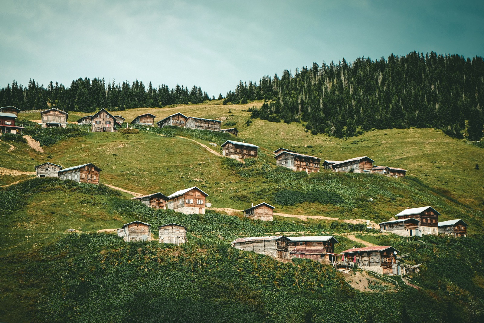 Karadeniz Yaylaları Rotası: Ayder, Pokut ve Sümela