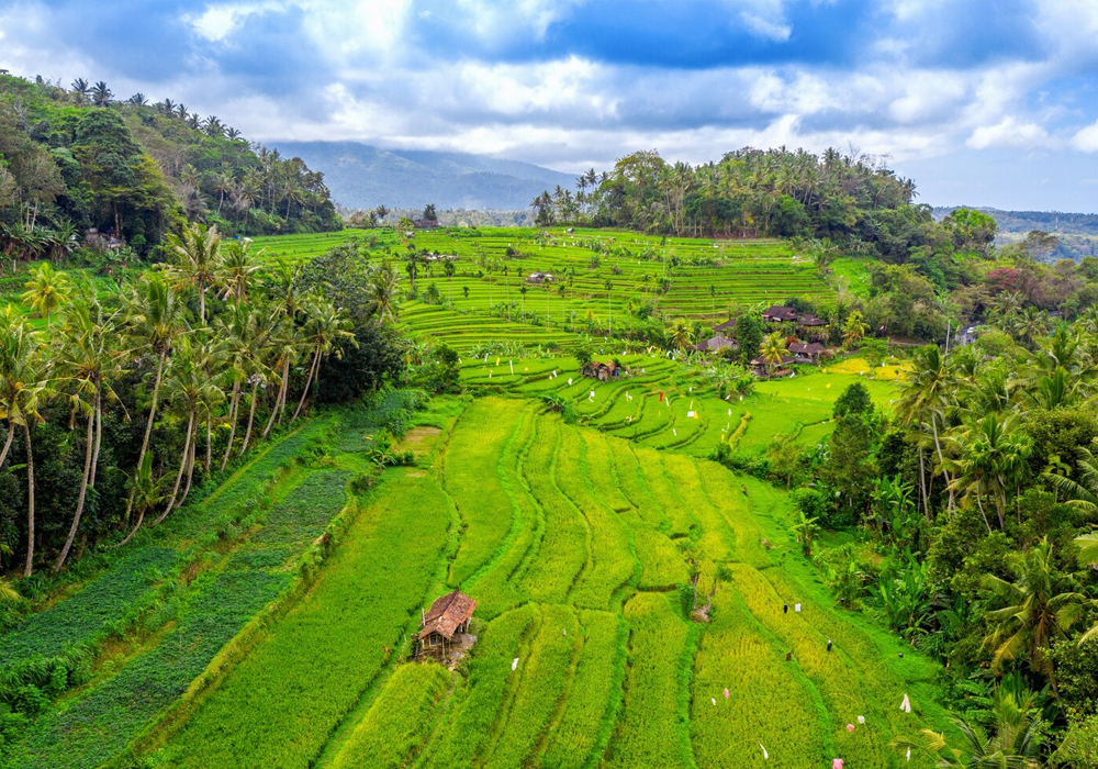 Bali Adaları Turu — 15 Gün Sahil, Tapınak ve Macera